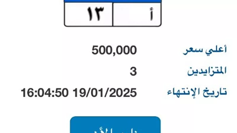 بوابة مرور مصر تطرح لوحة مميزة بـ 500 ألف جنية