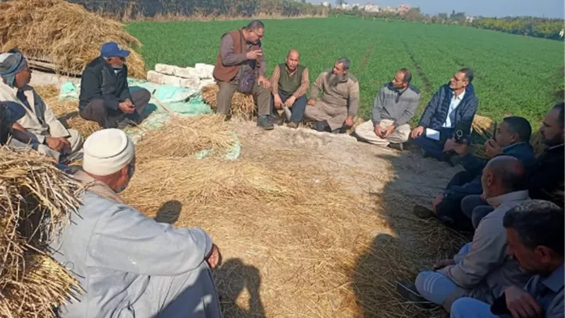 البحوث الزراعية: نشاط إرشادى مكثف خلال النصف الأول من شهر يناير