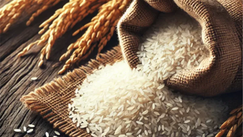الفلبين تتوقع حصادًا تاريخيًا من الأرز هذا العام