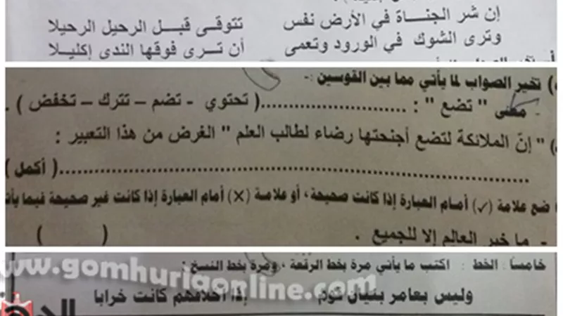 شكاوي طلاب الاعدادية بالمنوفية من صعوبة امتحان اللغة العربية