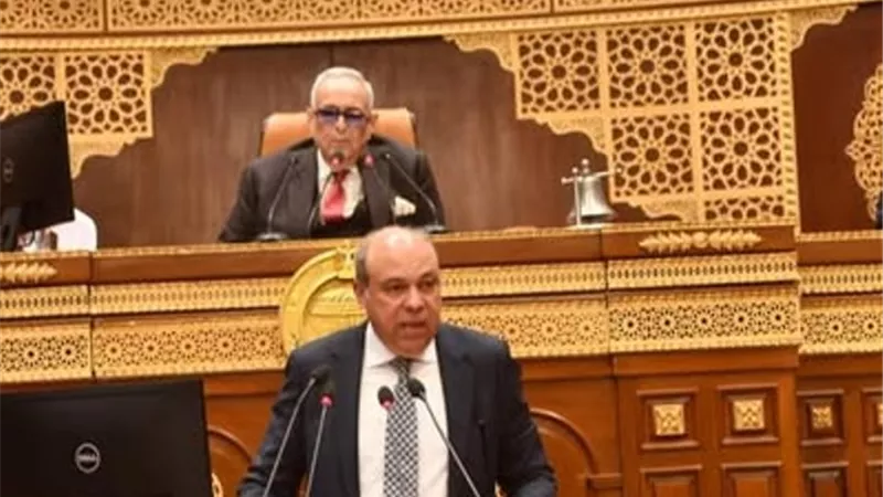 وزير الطيران المدني يشارك في الجلسة العامة لمجلس الشيوخ