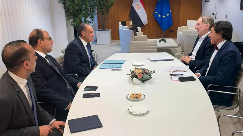 وزير الخارجية يلتقى رئيس لجنة التجارة الدولية بالبرلمان الأوروبي