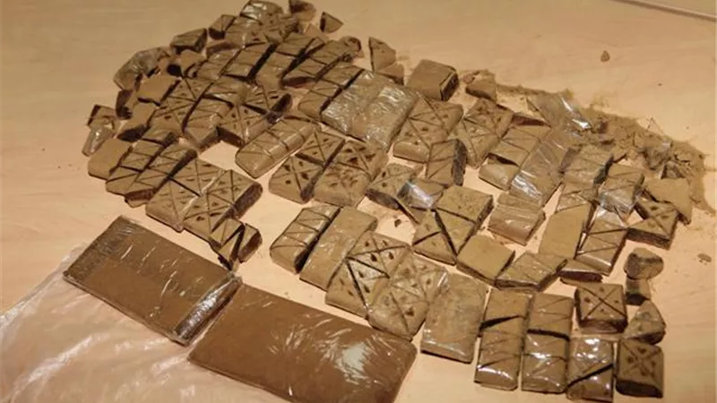 القبض على تجار الكيف فى البرلس