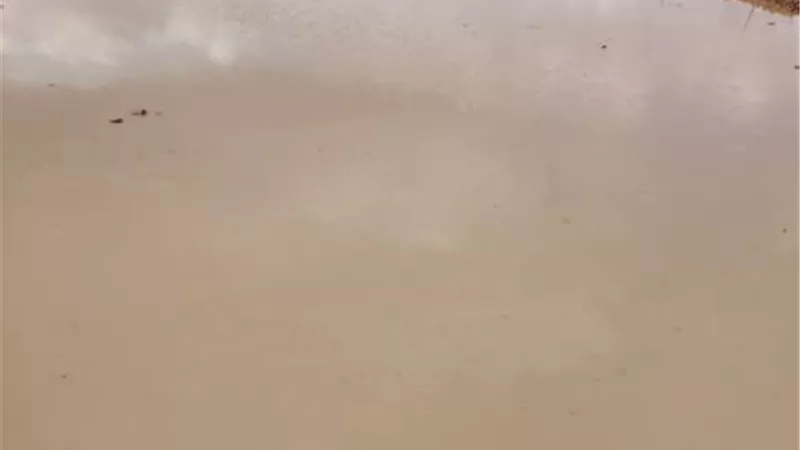 امطار غزيرة علي مطروح والمحافظ يعلن حالة التأهب القصوي