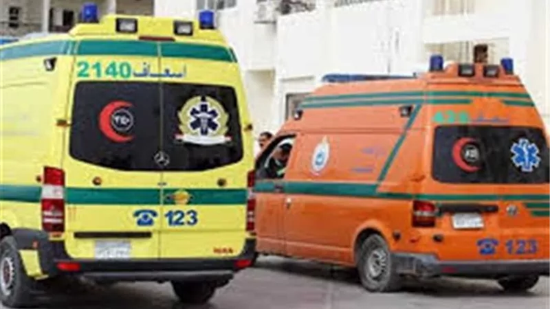 أصابة 15 شخص فى تصادم تريلا وميكروباص بالطريق الصحراوى باسوان