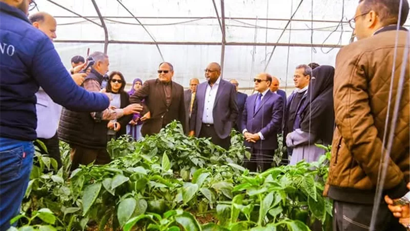 جولة نيجيرية في المشروعات الزراعية بكفر الشيخ والغربية