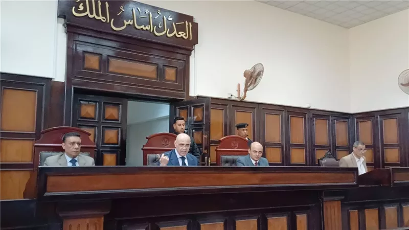 السجن المشدد 10 سنوات لـ عامل سرق تليفون سائق توك توك بأسيوط