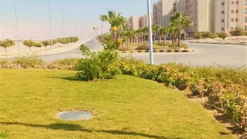 جهاز أخميم الجديدة يعلن تفاصيل أحدث أعمال الزراعة فى المدينة صور