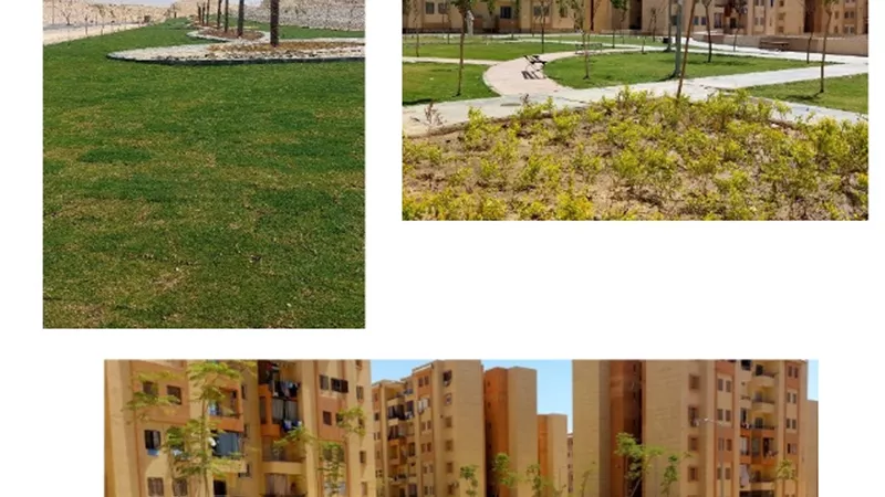 تعرف على أحدث عمليات الزراعة والتجميل فى أحياء مدينة 15 مايو صور