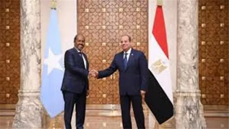 كاتب: لقاءات القمة بين السيسي ونظيره الصومالي تعكس تطور العلاقات