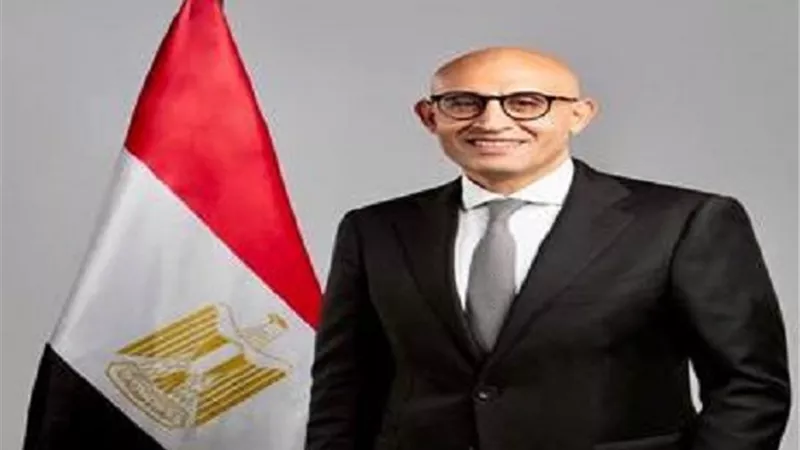 اعتذار شيرين حمدي عن منصبها كمستشار لوزير التعليم للعلاقات الدولية
