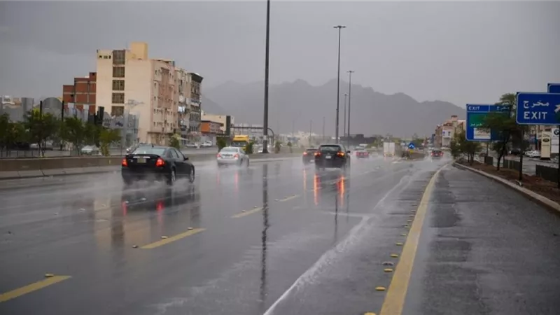 «شبورة مائية وأمطار».. الأرصاد الجوية تكشف تفاصيل طقس اليوم