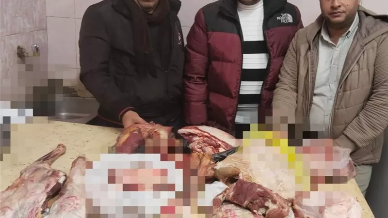 ضبط 5 طن ملح و30 اسطوانه غازمنزلي بمزرعة و50 مخبزا مخالف بالبحيرة