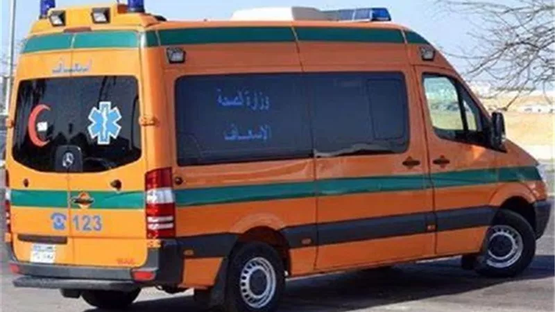 إصابة 8 أشخاص في انقلاب ميكروباص الشرقية
