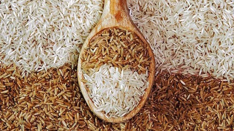 الأرز يقفز من 4.5 مليون إلي 6.5مليون طن.. وفدان القمح من 2.7 طن إلي 3 أطنان