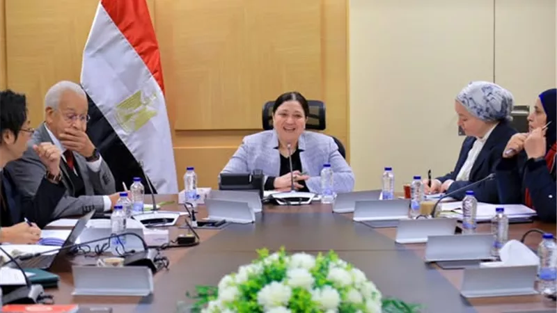 نائبة وزيرة التضامن تلتقي ببعثة 