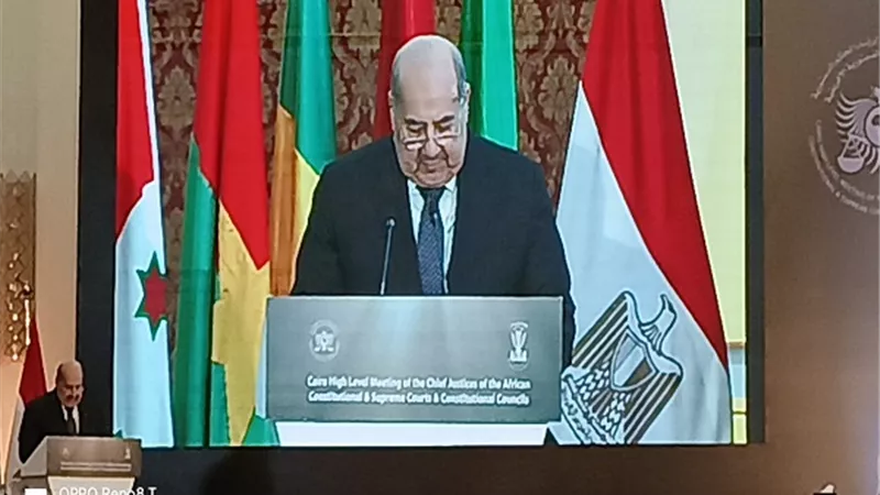 رئيس مجلس الشيوخ: الظروف التي تواجه بلادنا الأفريقية لم تزدنا إلا إصرارا على صون الحقوق والحريات.. فيديو