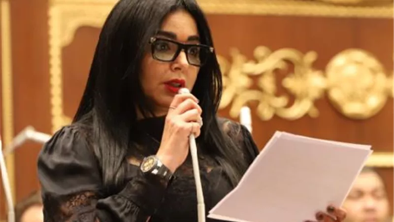 عضو بالشيوخ :مصر تتمسك بحق الشعب الفلسطينى في أرضه وترفض تهجير الفلسطينيين