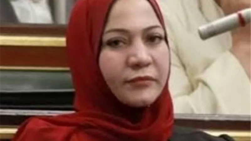 طلب إحاطة حول تسجيل ربع مليون نسمة زيادة بعدد السكان في 72 يومًا