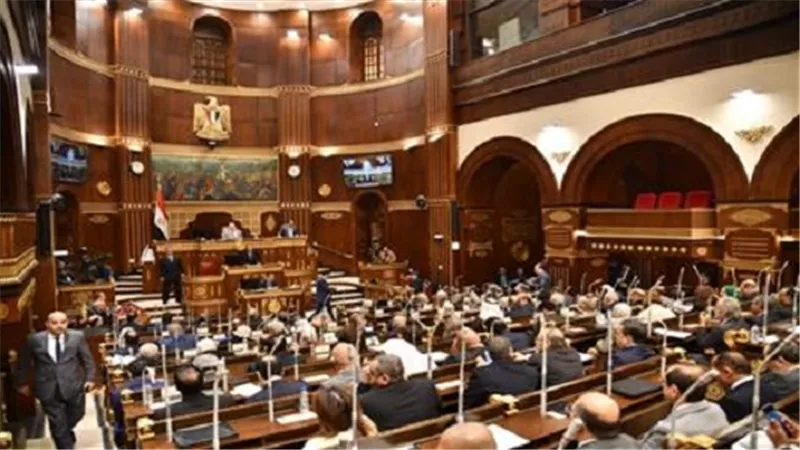 مجلس الشيوخ يُعلن رفضه القاطع لمقترحات تهجير الفلسطينيين