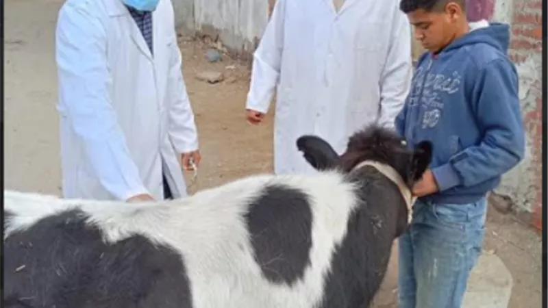 كلية طب بيطري الزقازيق توجه قافلة مجانية لقرية السعدية
