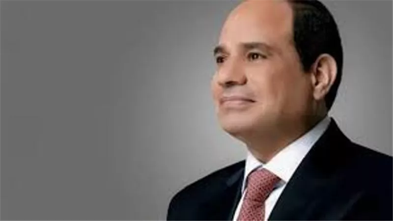 الرئيس السيسى يستقبل رئيس شركة كونسنتركس الأمريكية الرائدة فى خدمات التعهيد