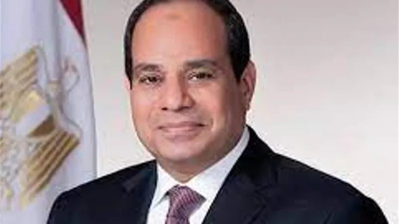 الرئيس يؤكد علي توفير حزمة من الحوافز الاستثمارية لجذب الشركات العالمية للعمل في مصر
