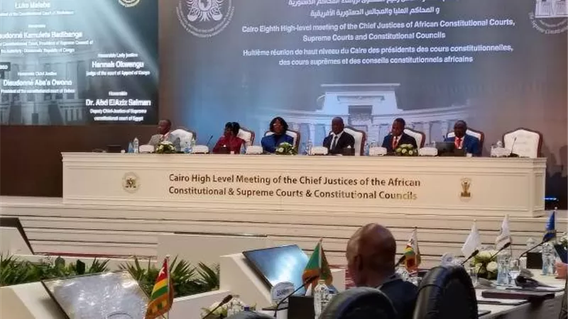 بدء فعاليات اليوم الثانى لإجتماع رؤساء المحاكم الدستورية الإفريقية