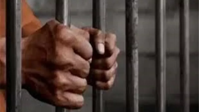 إحالة أوراق كهربائي للمفتى قتل جاره بالشرقية