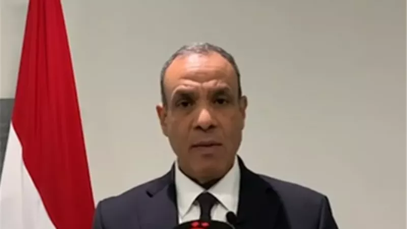 وزير الخارجية: فخور بأداء الوفد المصري في المراجعة الدورية لحقوق الإنسان