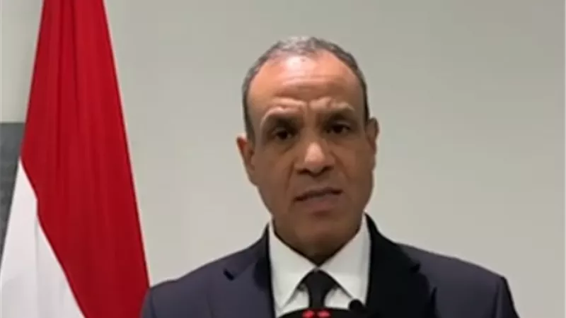 وزير الخارجية: مصر تحقق إنجازات ملحوظة في حقوق الإنسان