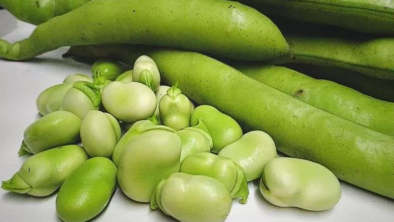 اكتشف ما لا تعرفه عن الفوائد الصحية لتناول الفول الحراتي