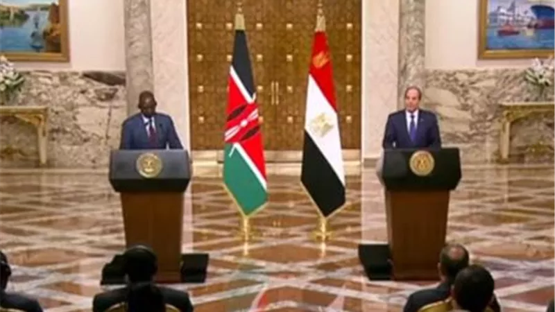 السيسي: تناولت والرئيس الكيني تطورات القرن الأفريقي والبحرالأحمر
