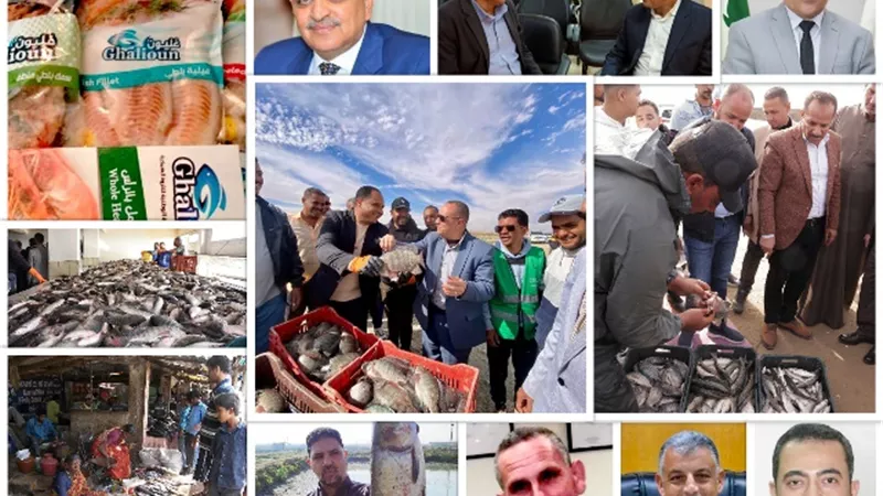 الثروة السمكية.. حققت أعلى إنتاجية بتوجيهات القيادة السياسية