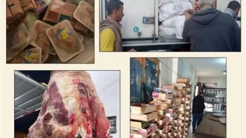 بيطري الشرقية يضبط ٦طن لحوم مخالفة ومجمدة بالشرقية