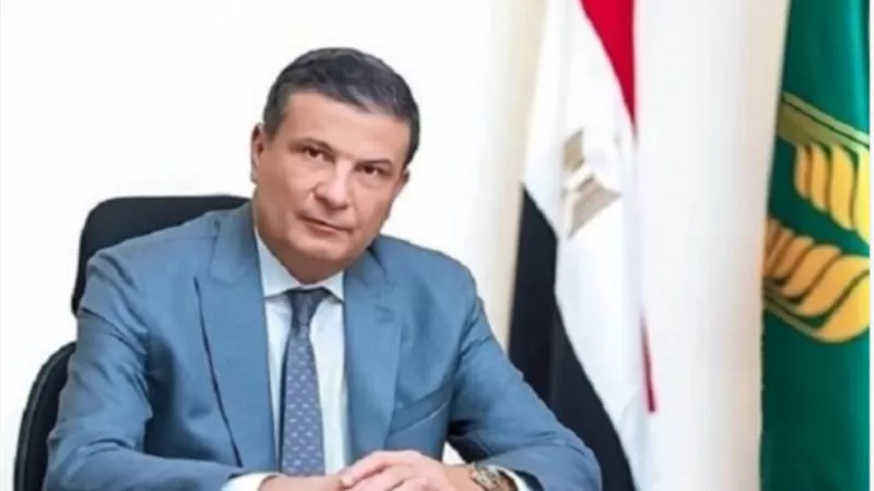 الزراعه: فتح باب استيراد كتاكيت التسمين والبياض