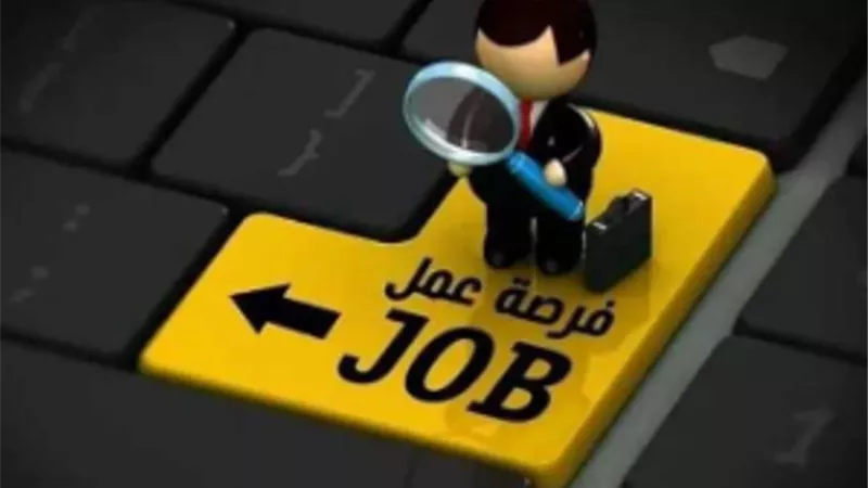 وظائف بإحدى شركات بيع الأجهزة الكهربائية.. تعرف على كيفية التقديم