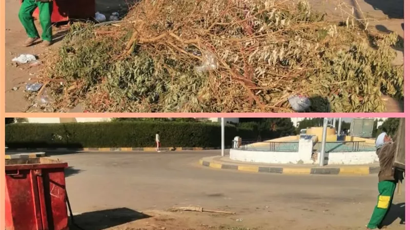 استمرار أعمال النظافة بقطاعات الغردقة
