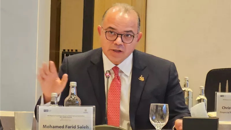 محمد فريد: الاستقرار المالي أحد ركائز تحقيق التنمية المستدامة