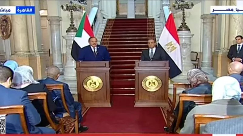 وزير الخارجية: هناك مصالح دائمة تربط بين مصر والسودان