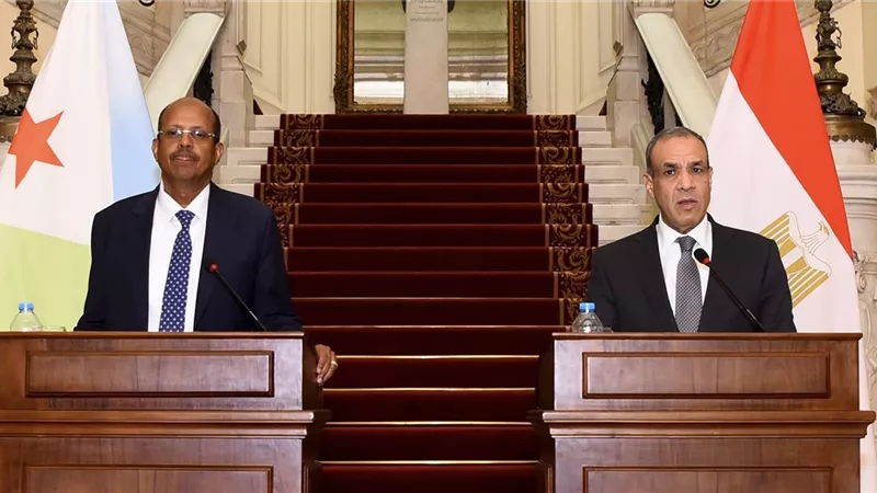 تفاصيل المؤتمر الصحفي لوزير الخارجية ونظيره الجيبوتي