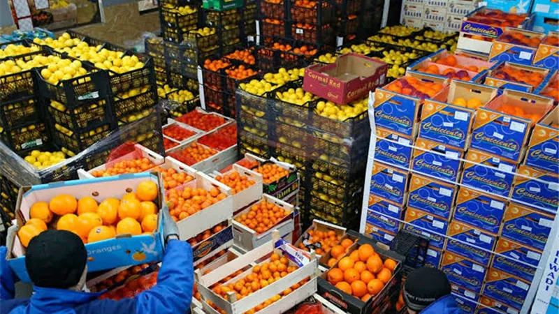 الصادرات الغذائية تحقيق 6.1 مليار دولار خلال 2024 بزيادة 21٪