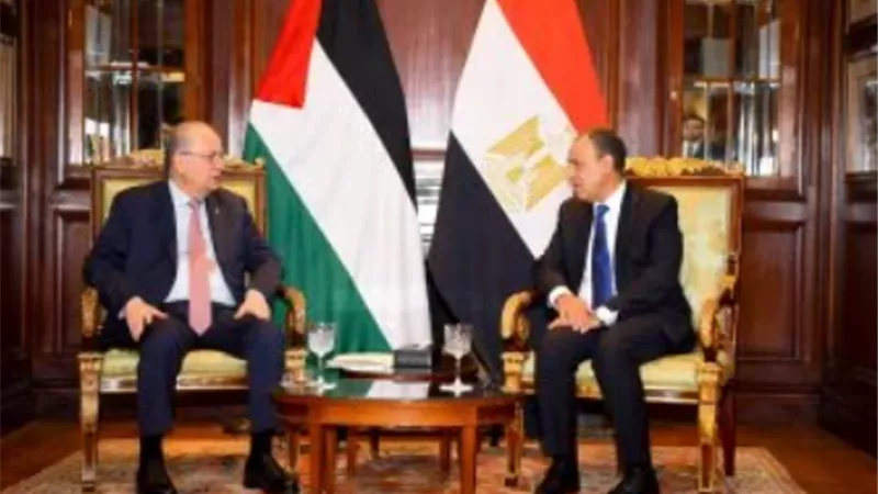 مصر تؤكد أهمية دعم الفلسطينيين 