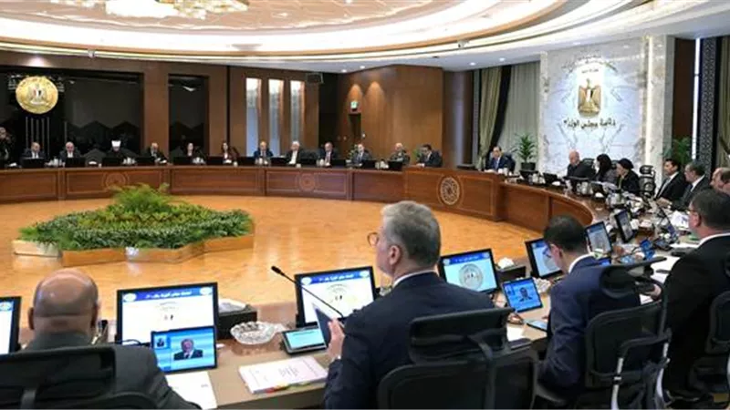 وزير الكهرباء يستعرض جهود تحسين كفاءة الطاقة الكهربائية