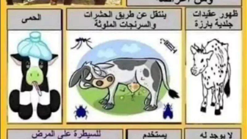 أستمرار الحملة القومية للتحصين ببيطرى الاسكندرية حتى 27 نوفمبر
