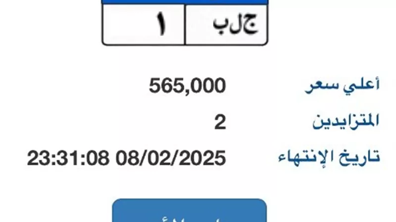 لوحة سيارة مميزة وصلت لـ 565 ألف جنيه