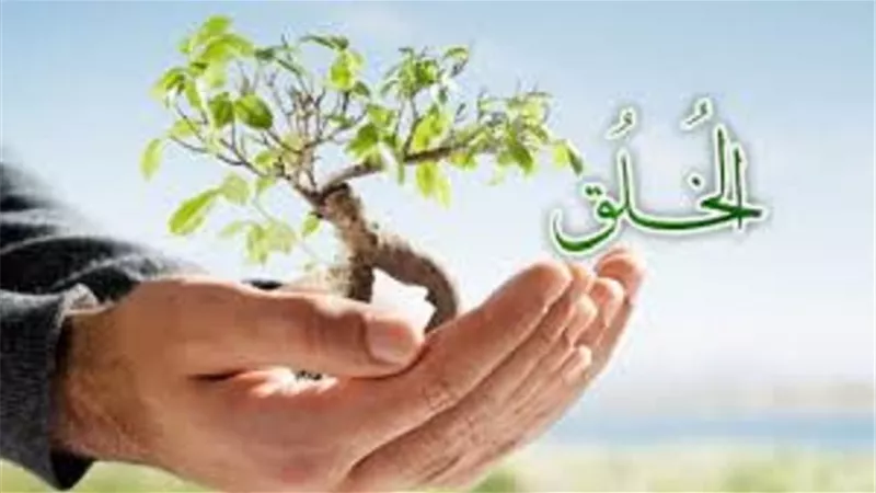 من هوالمسلم المسَدَّدَ