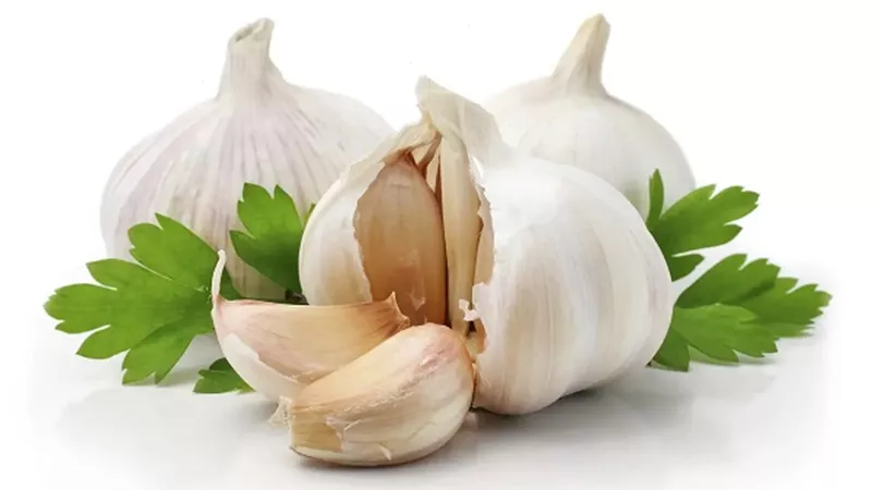 منها الثوم .. أطعمة تخفض خطر الإصابة بالأمراض المزمنة