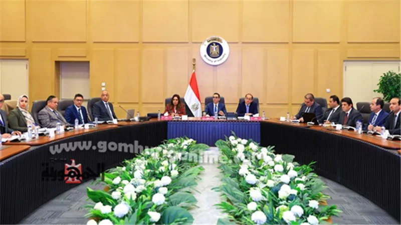 وزيرة التنمية المحلية : إحكام الرقابة علي السلع بالأسواق المصرية