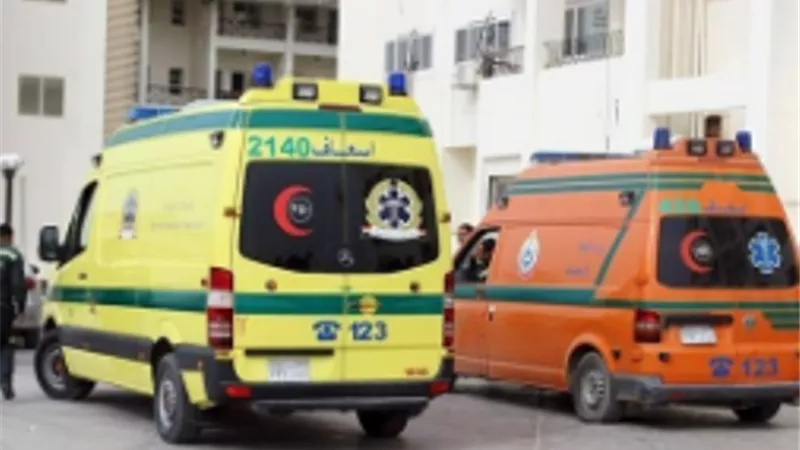 إصابة 9 بالاختناق إثر تسريب غاز داخل منازلهم بأبو حمص وكفر الدوار